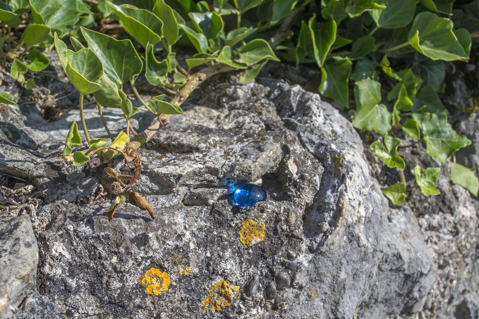 2019 07 YouDoYou With Paul Otis Wiesner, Dorneck, Dornach — Maya Hottarek Crystal — Jeronim Horvat